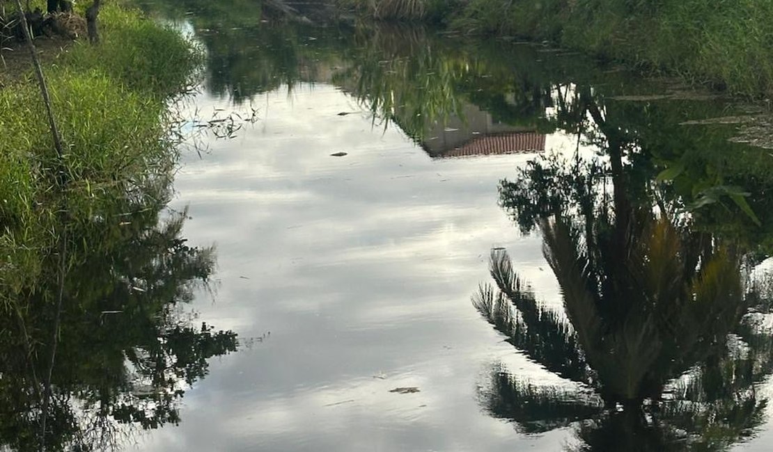 Morte de peixes no Rio Maceiozinho é alvo de investigação