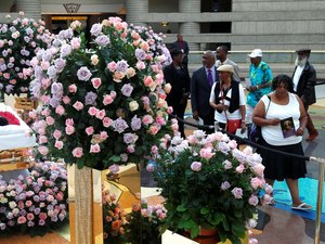 Fãs de Aretha Franklin prestam homenagem à cantora antes de funeral em Detroit