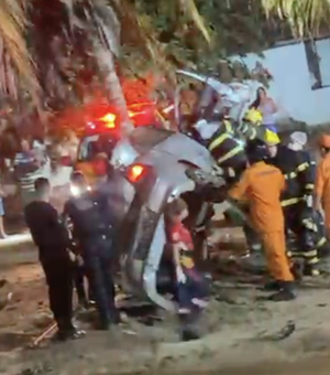 Motorista sobrevive a grave acidente após colidir com coqueiro na AL-220, em Arapiraca