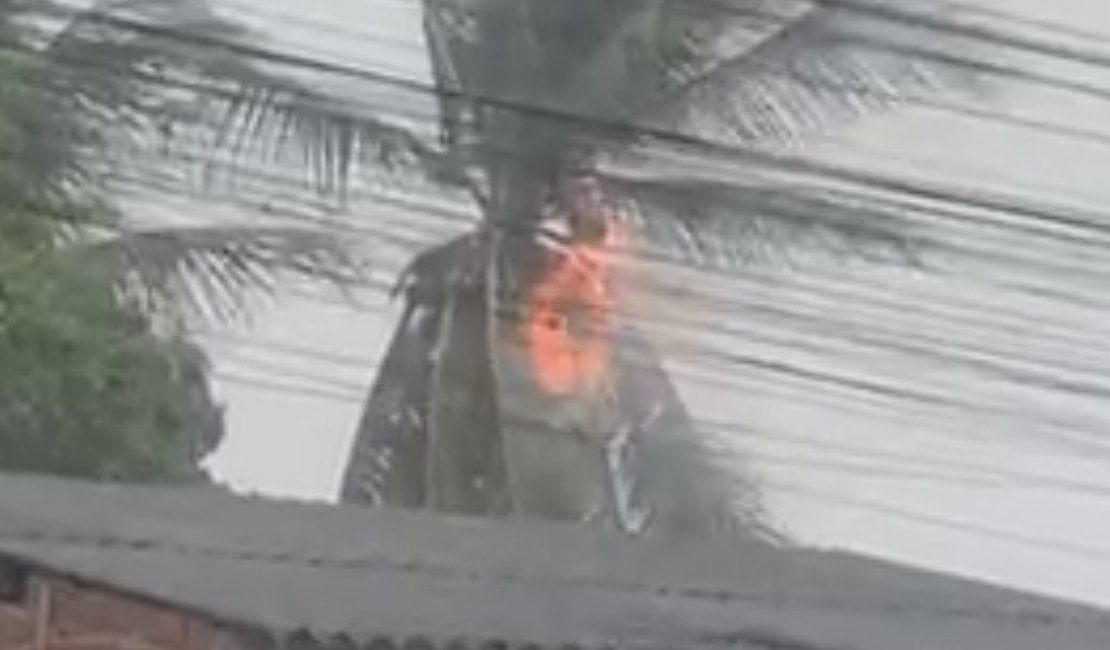 Raio atinge coqueiro e provoca incêndio durante forte chuva em Arapiraca