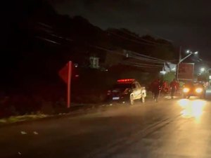 Veículo da SMTT de Maragogi colide contra cavalo na rodovia AL 101 Norte