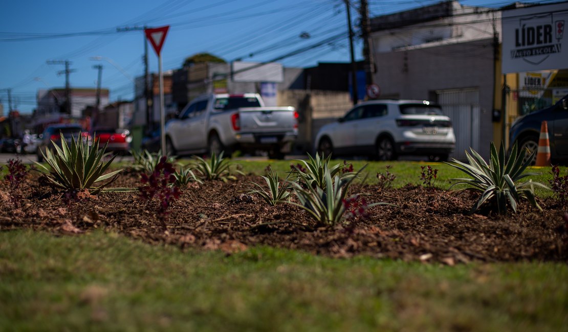 Prefeitura de Maceió inicia arborização de canteiros da capital