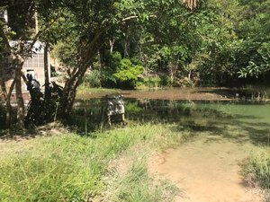 Alagoas ganha reserva ambiental em São Miguel dos Campos