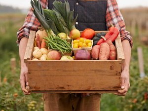 Teste da Anvisa encontra agrotóxicos acima do permitido em alimentos