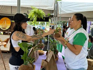 Feira sustentável Sabor do Campo acontece neste domingo (15), em Maceió