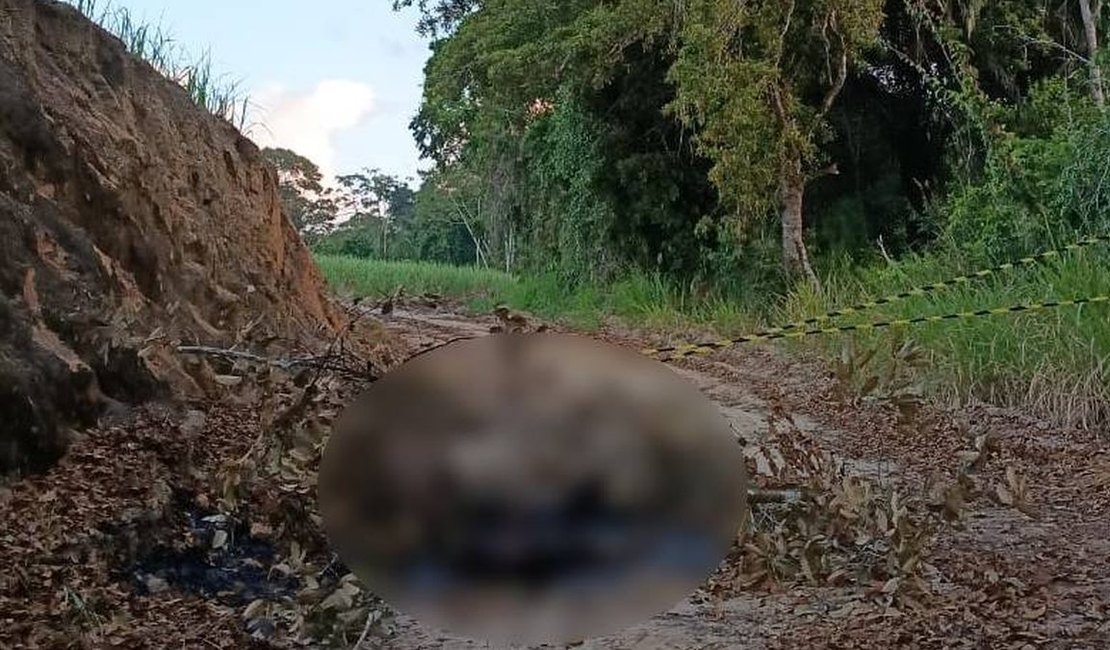 Corpo carbonizado é encontrado em área pertencente a usina em Rio Largo