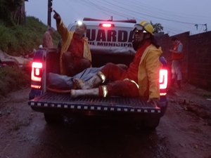 [Vídeo] Deslizamento de barreira destrói casa e mata mulher em Palmeira dos Índios