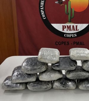 Operação Protetor Divisa apreende 7,7 kg de maconha escondida em Mercedes-Benz na BR-316