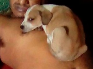 Dono morre e cachorro é encontrado em cima do corpo