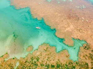 Projeto Corais de Alagoas avança no Litoral Norte do estado