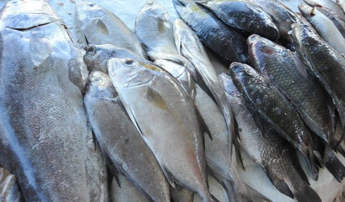 Bares e restaurantes vão à Justiça contra ‘imposto esquecido’ sobre peixe em SP