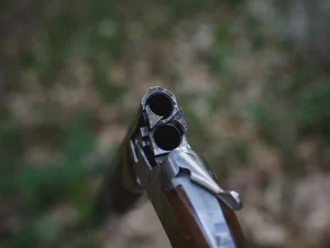PSB pede ao STF para suspender decretos de Bolsonaro que flexibilizam compra de armas