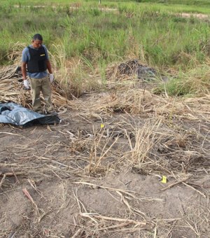 IML tenta identificar ossadas encontradas na zona rural de Campestre