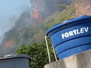 [Vídeo] Fogo em vegetação no bairro Cruz das Almas assusta moradores da região