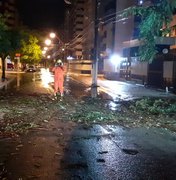 Chuva forte derruba árvore no bairro da Ponta Verde, em Maceió
