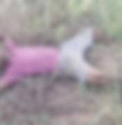 Cadáver crivado de balas é encontrado na zona rural de Mata Grande