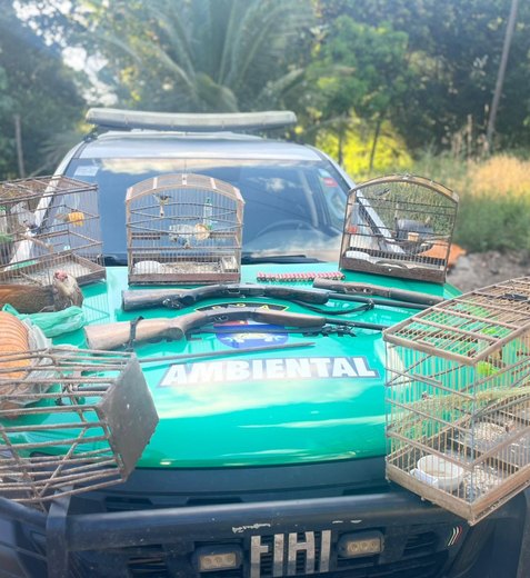 Polícia Militar apreende aves silvestres, armas e armadilhas de caça em Porto de Pedras