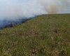 [Vídeo] Incêndio em vegetação mobiliza bombeiros e populares em Limoeiro de Anadia