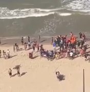 Criança de 11 anos é mordida por tubarão em praia de Pernambuco