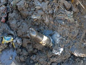 Lixo em tubulação é principal causa de alagamentos em período de chuva