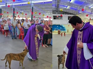 Cachorro entra com padre em missa e derrete a web