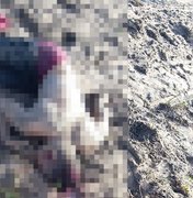 Homem é morto a pedradas em zona rural de Arapiraca