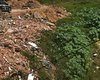 Motorista de caçamba é preso em flagrante por crime ambiental em Maceió