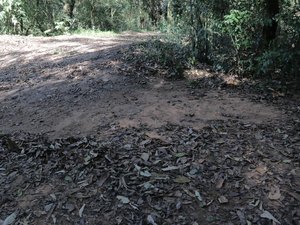 Corpo é encontrado na zona rural de Feira Grande