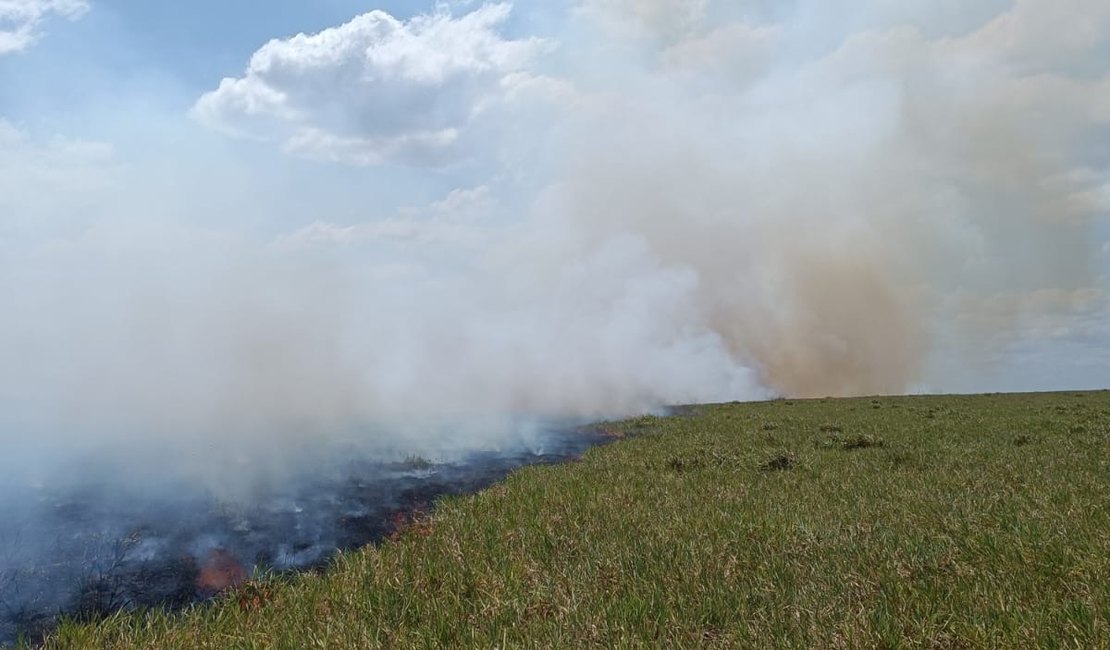 [Vídeo] Incêndio em vegetação mobiliza bombeiros e populares em Limoeiro de Anadia