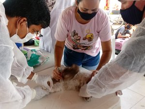 Maceioenses buscam serviço do castramóvel no Benedito Bentes