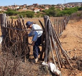 Demissões de não contratados nas prefeituras entristecem o fim de ano no Sertão