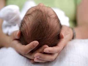 Sesau investiga 175 casos suspeitos de microcefalia em Alagoas