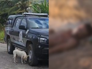 Jovem é assassinado a tiros no ‘Morro da Cocada’ em São Miguel dos Campos