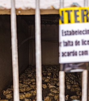 FPI interdita abate clandestino de aves em Canapi, Sertão alagoano