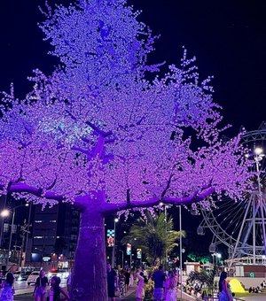 Iluminação de Natal no Parque Massay-ó-k encanta maceioenses e turistas