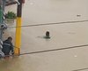 [Vídeo] Número de pessoas afetadas pelas chuvas em São Luís do Quitunde sobe para 160