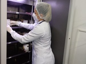 Hemoal apresenta estoque crítico de tipagem negativa