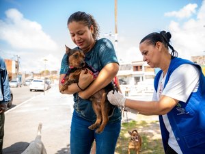 Prefeitura de Maceió realiza último dia de vacinação antirrábica no próximo sábado (8)