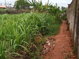 Moradores apelam para que Prefeitura revitalize rede de escoamento de água das chuvas
