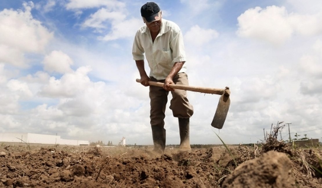 Comitê antecipa ações para minimizar efeitos da seca em Alagoas