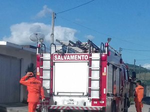 Bombeiros resgatam cobras em duas residências em União dos Palmares