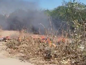 [Vídeo] Fumaça e fogo em vegetação chamam a atenção de moradores em Arapiraca