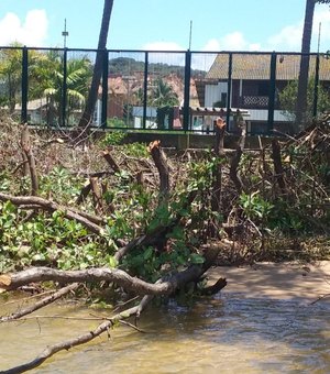 Moradores denunciam desmatamento em área de mangue