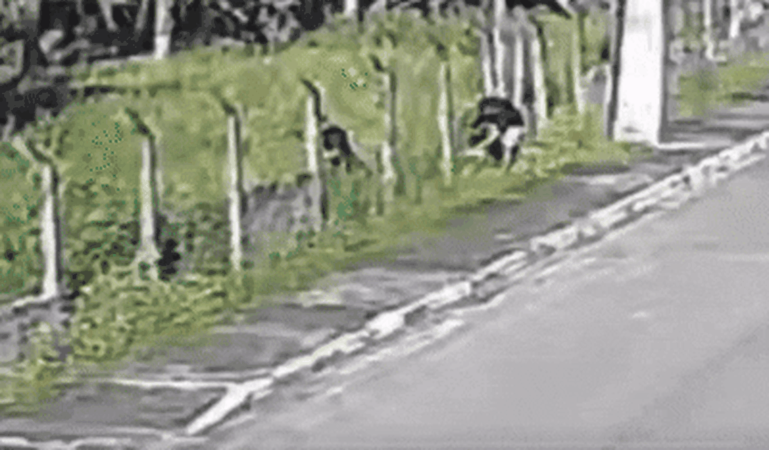 Polícia procura envolvidos na morte de homem na porta do trabalho em Marechal