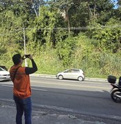 Defesa Civil de Maceió recomenda retirada de árvores em áreas de risco