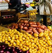 Feira livre do Centro de Palmeira dos Índios é antecipada para esta terça-feira (23)