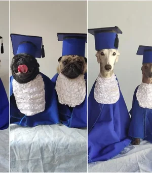 Cães ganham 'formatura' especial com beca, diploma e boletim em creche de MS; veja fotos