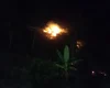 Incêndio em área de vegetação assusta moradores de São Miguel dos Milagres