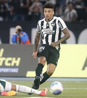 Botafogo, Palmeiras ou Fortaleza? Veja as chances de título do Brasileirão