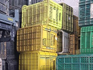 Ideral reforça segurança no Ceasa após furto contra comerciantes